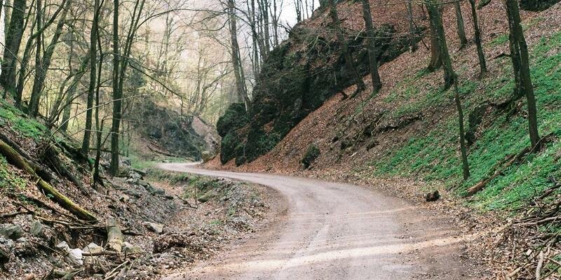 Asuransi Perjalanan untuk Delegasi dan Study Tour: Apa yang Harus Diperhatikan?