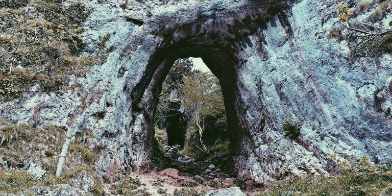 Study Tour vs Youth Exchange vs Student Placement: Mana yang Paling Cocok untuk Anak Anda?